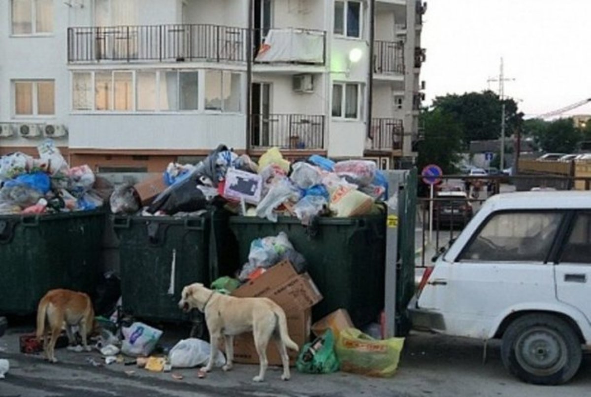 В Подмосковье начали применяться новые «мусорные» тарифы 