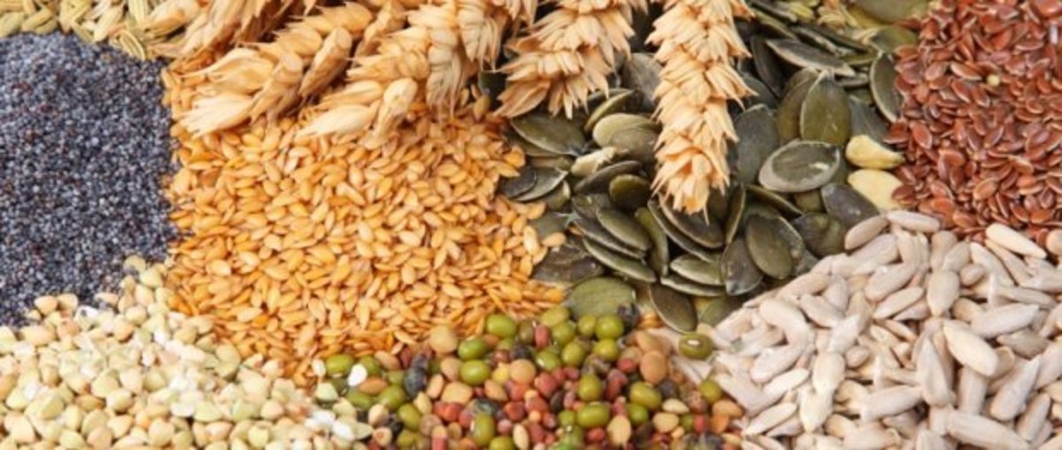 В Солнечногорске задержано 18,5 тонн кормовых добавок из Китая и Германии