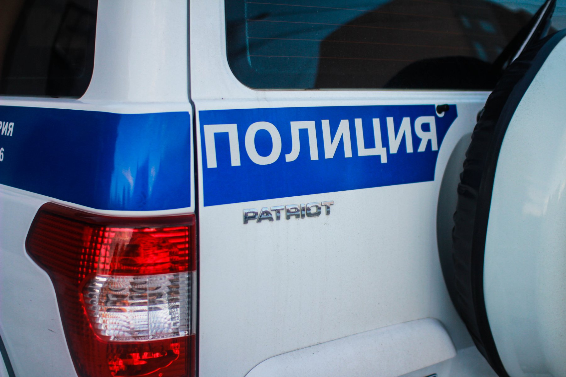 За жестокое обращение с животными полиция подмосковного Подольска проверит 53-летнего мужчину