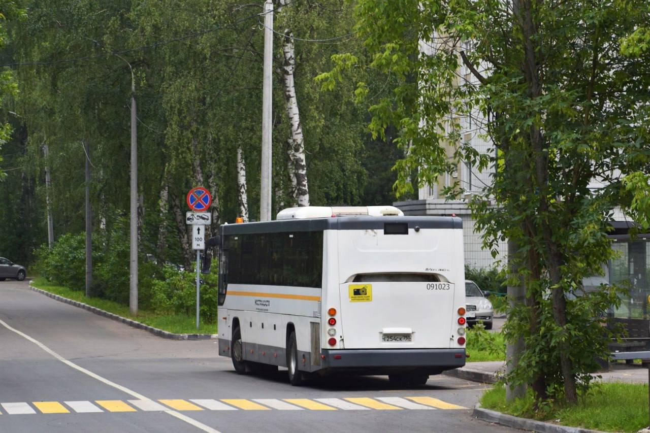 За грибами в Подмосковье – автобусными маршрутами 