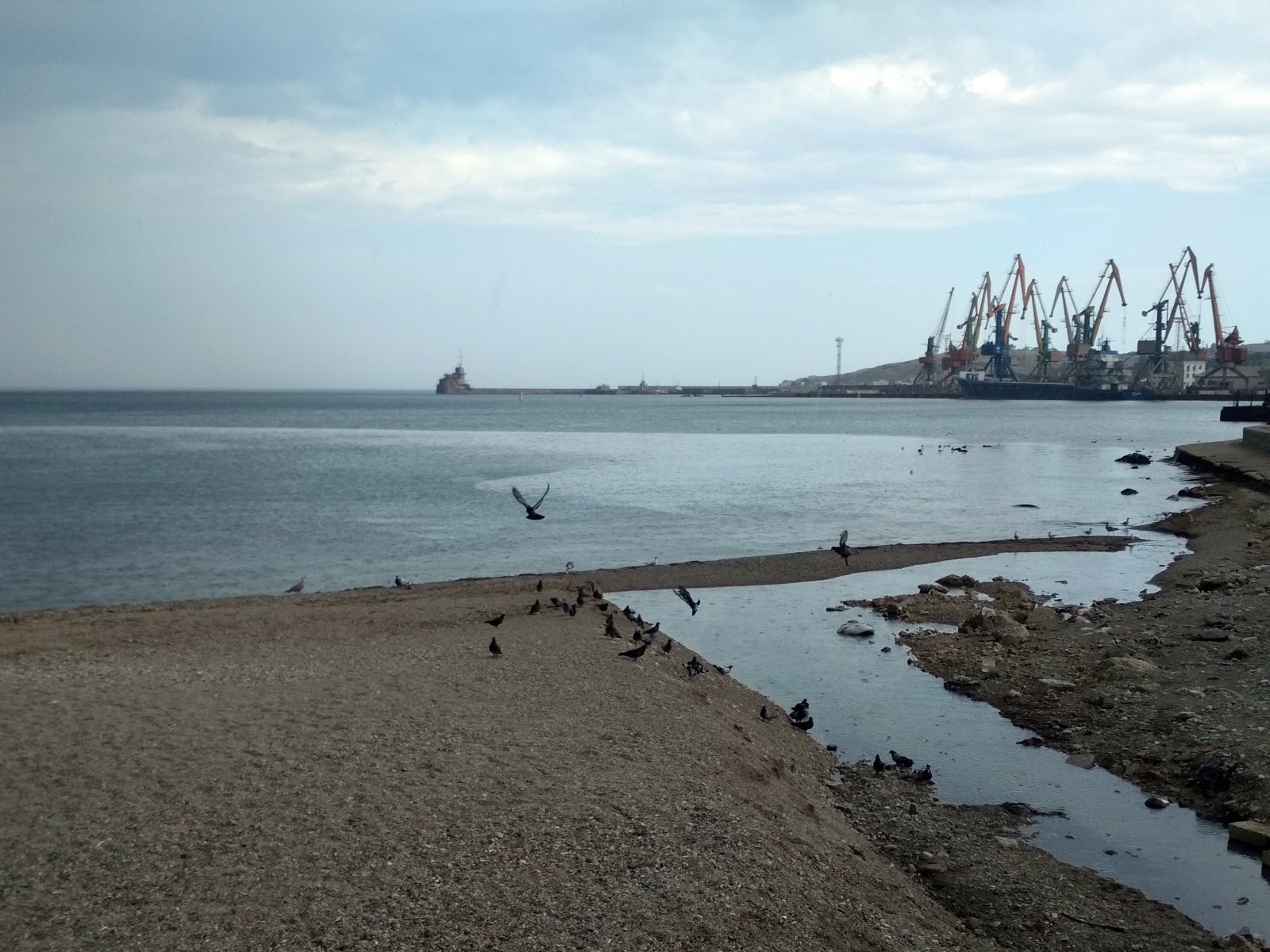 Полежать в тени на пляже Крыма можно за 150 рублей, на солнце — бесплатно