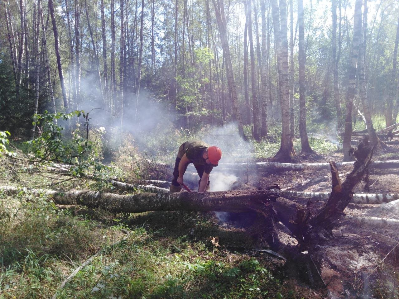 Третий торфяной пожар в Подмосковье лесопожарные службы потушили в Богородском горокруге