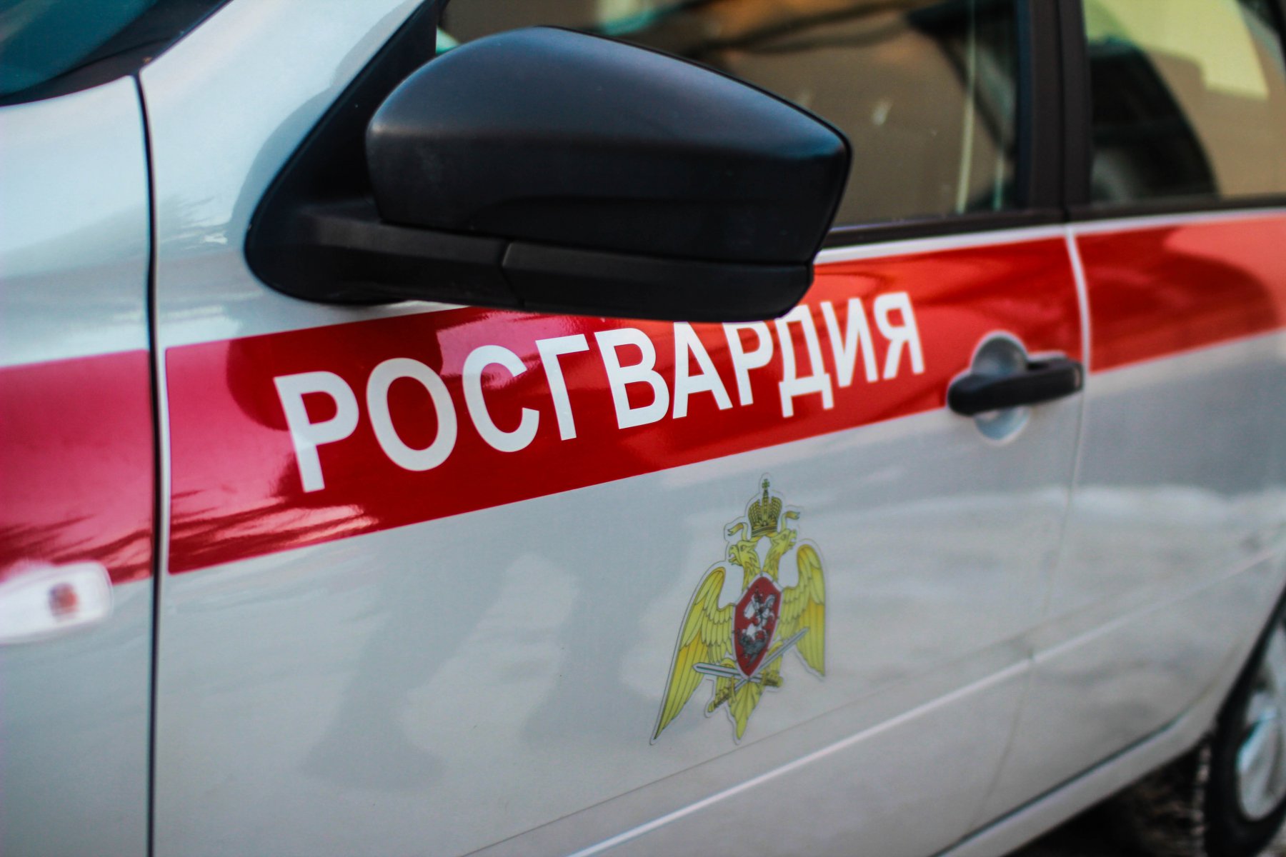 В горокруге Воскресенск росгвардейцы задержали подозреваемого по приметам из разыскной ориентировки