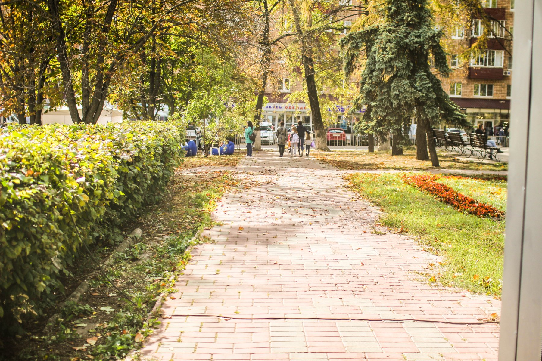 Синоптик Леус: антициклон разгонит облака в Москве 