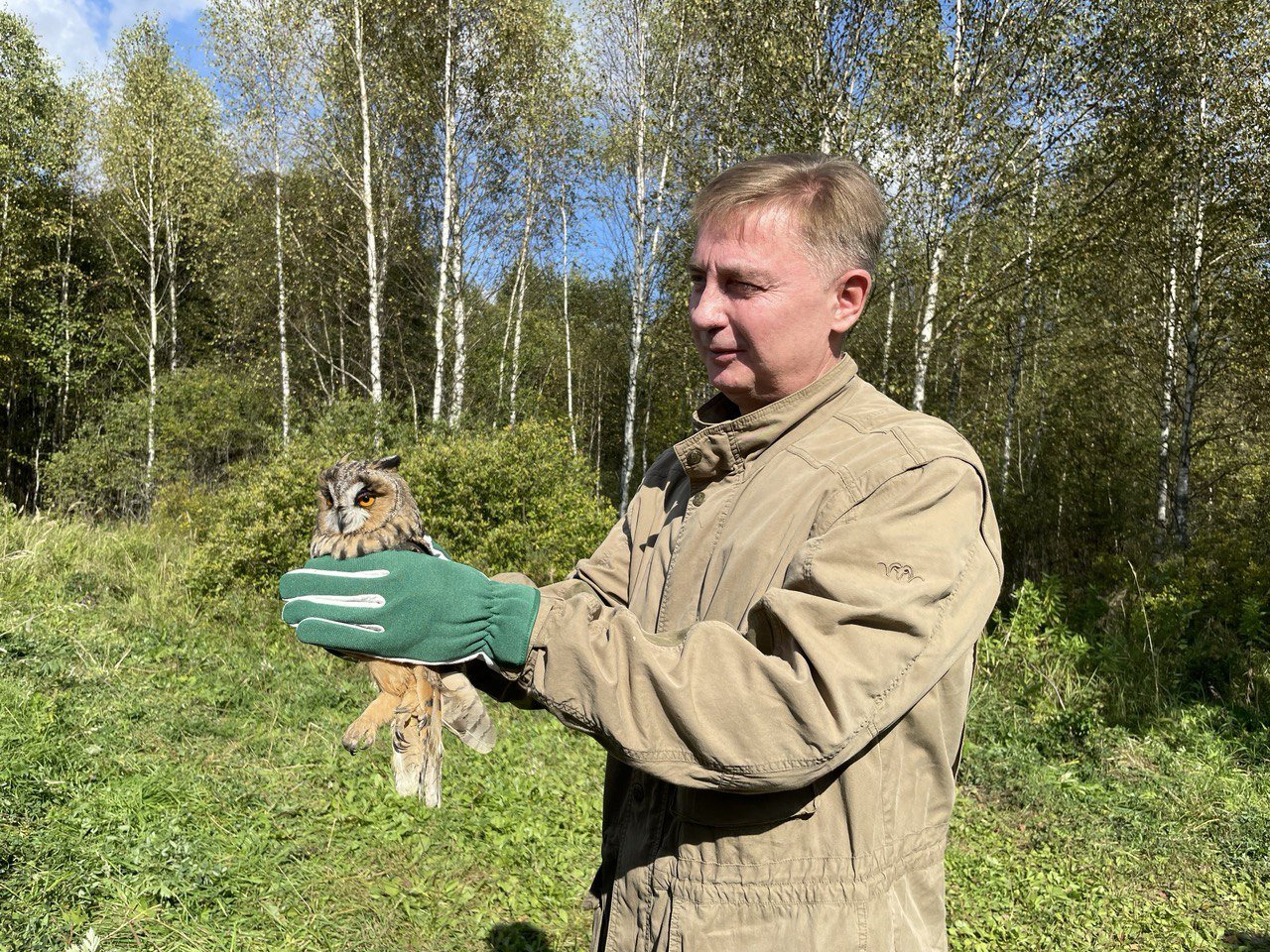 В дикую природу вернулись 50 птиц и зверей благодаря Центру реабилитации и департаменту природопользования Москвы