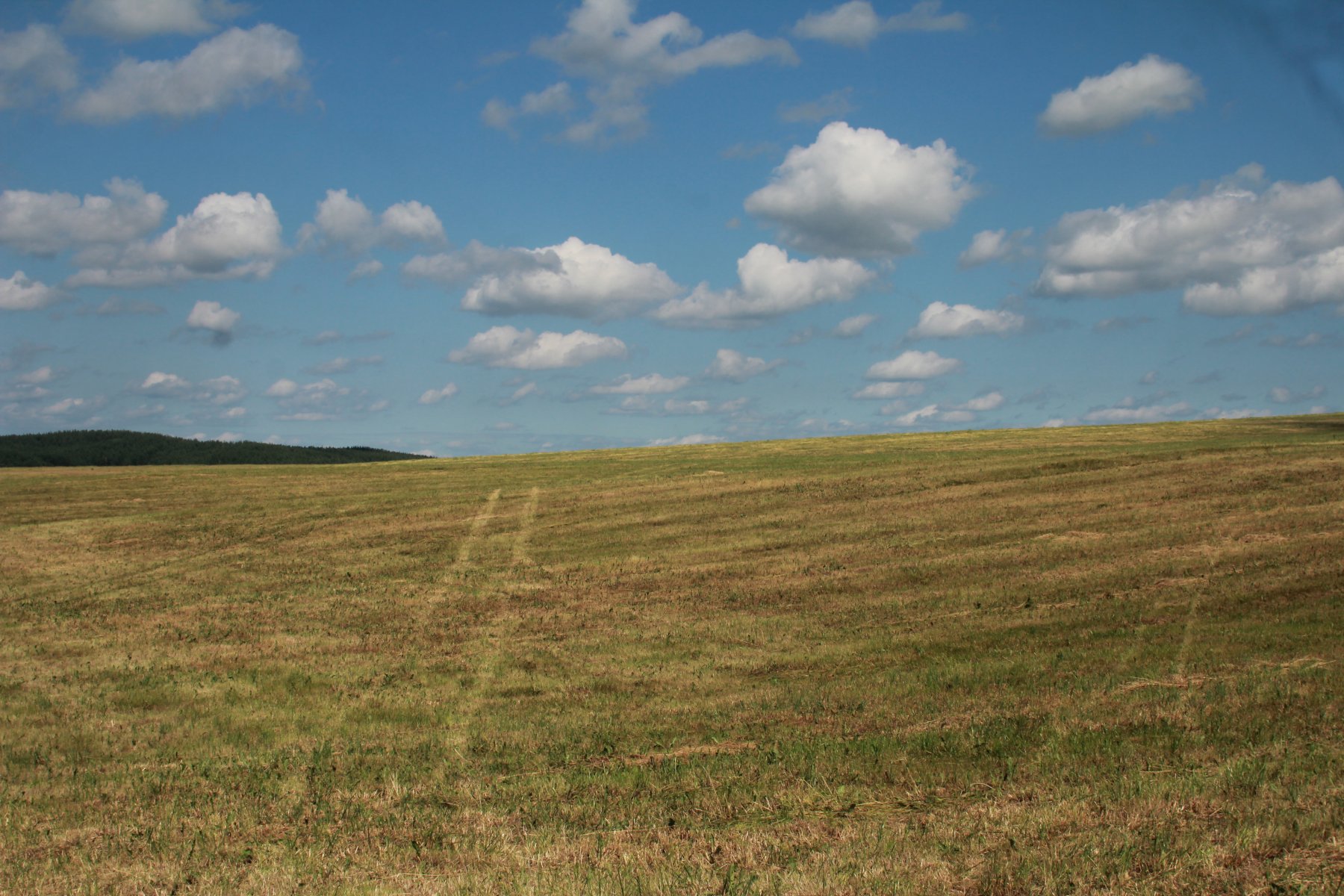 В Московской области не используются почти 13 тысяч участков сельхозземель 