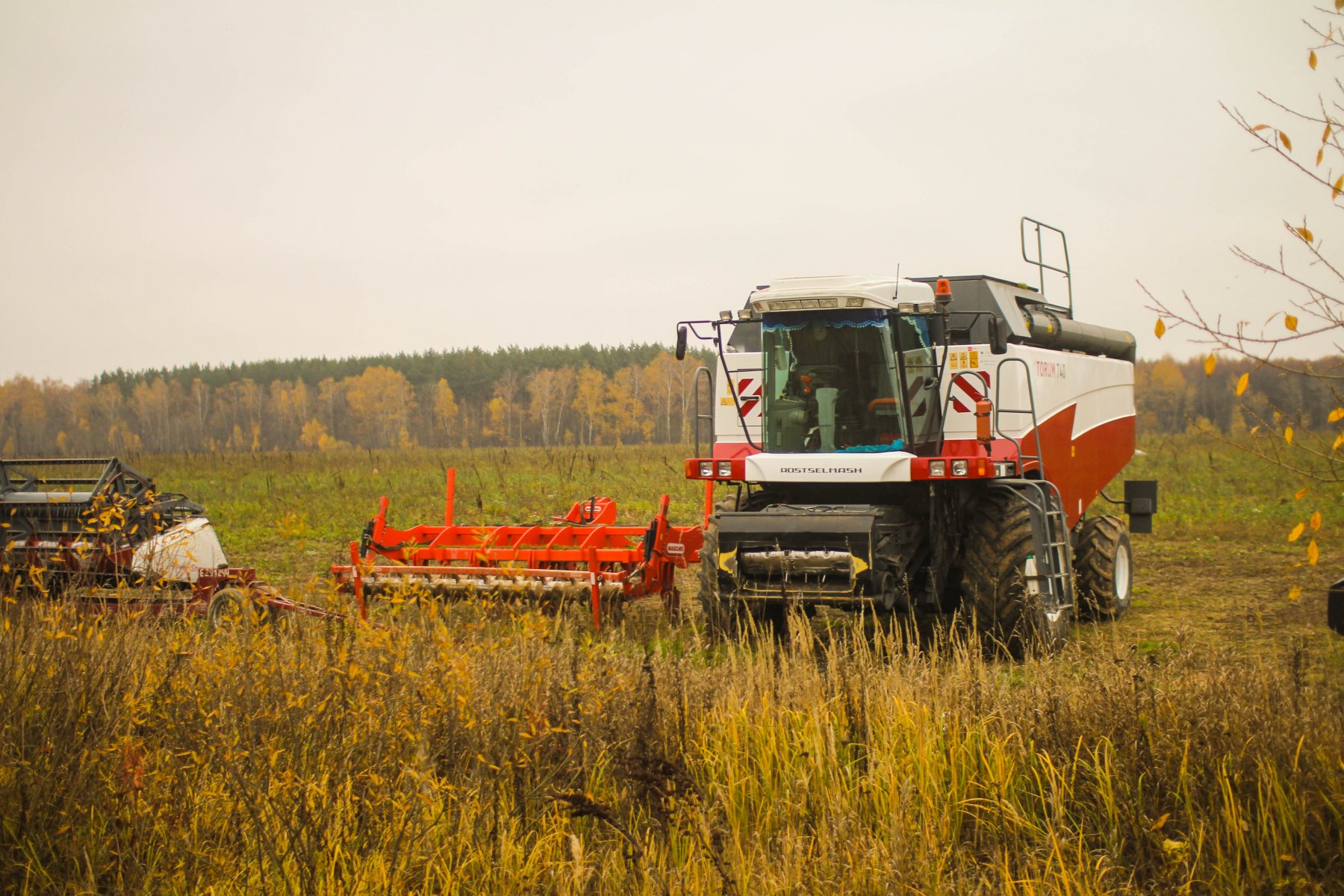 В России ожидается падение спроса на труд в торговле и сельском хозяйстве