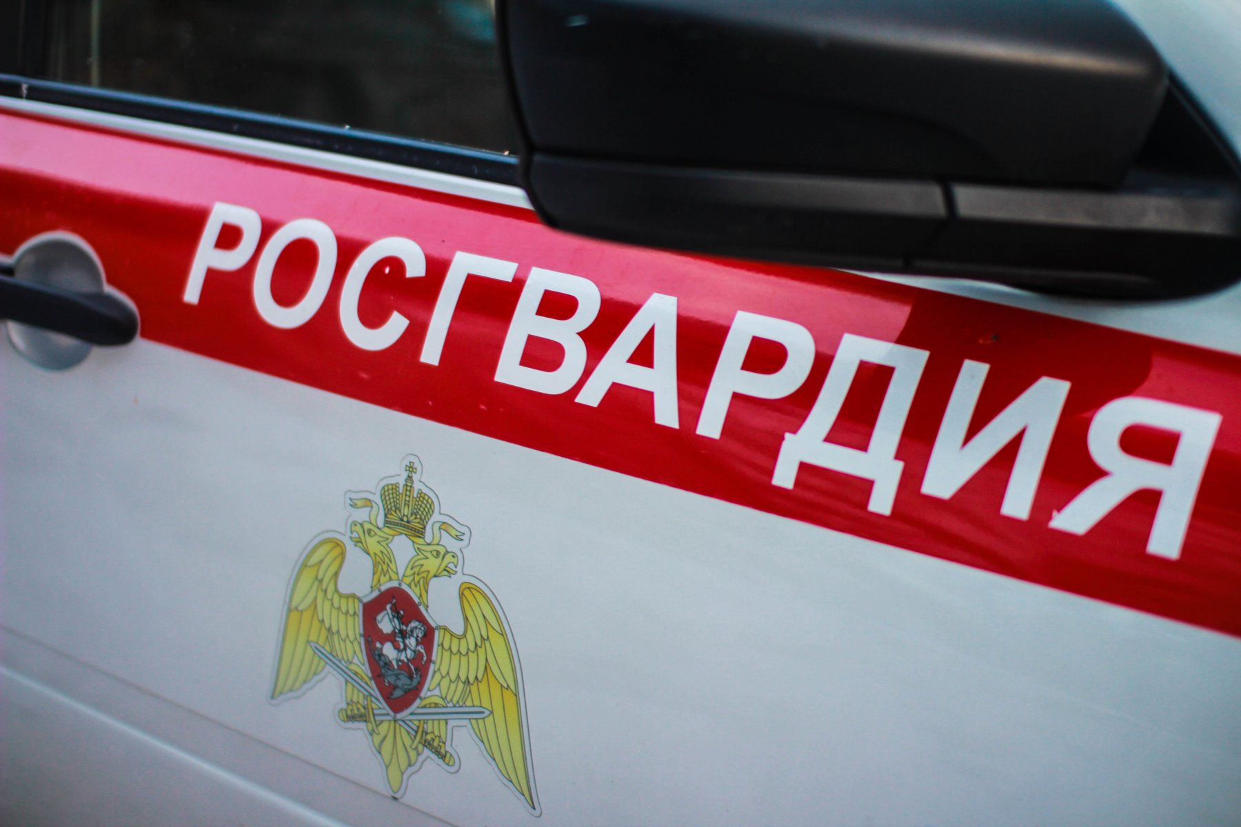 В Московской области росгвардейцы задержали неуравновешенного гражданина, открывшего стрельбу