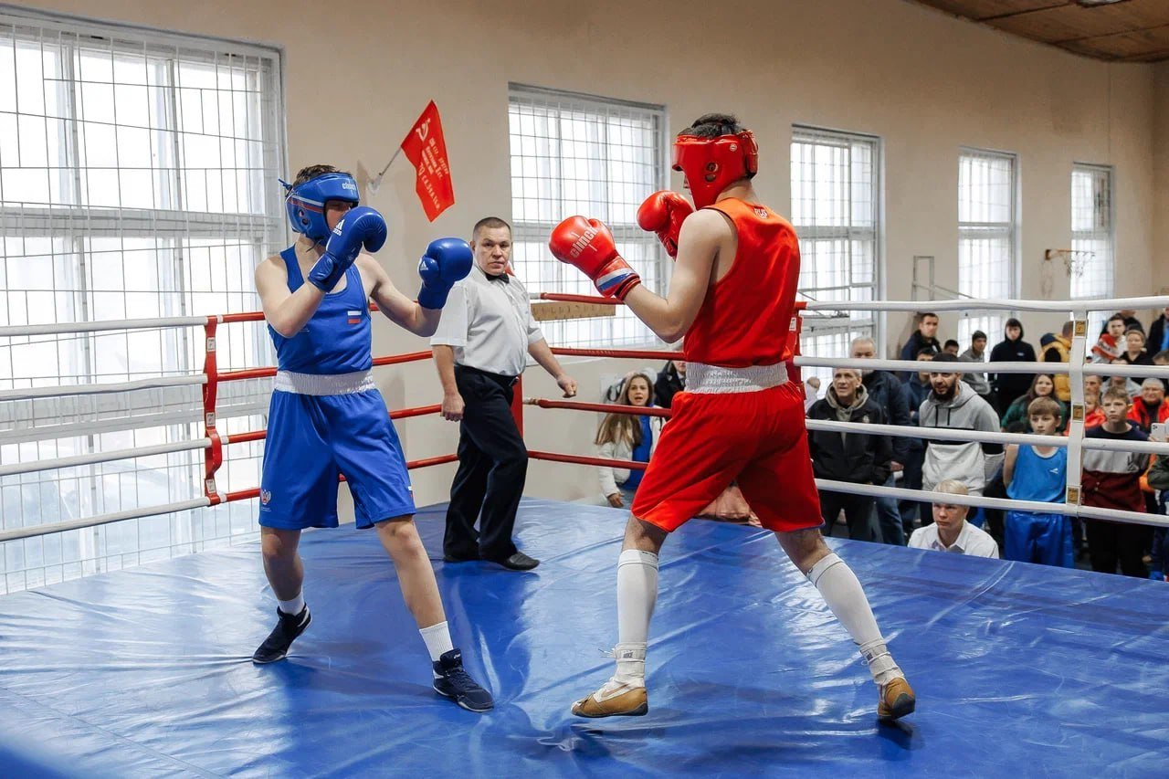 В День народного единства в Дубне прошел турнир по боксу 