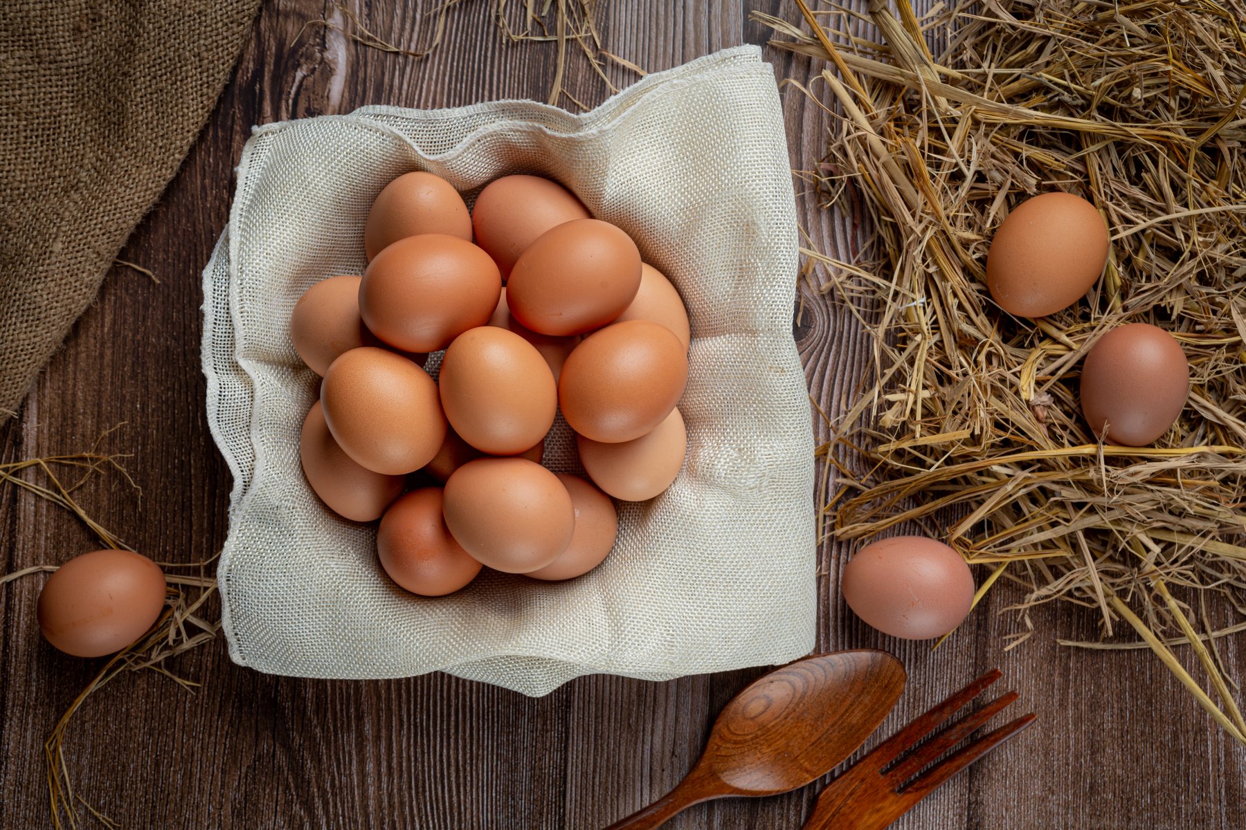 ФАС проверит обоснованность цен на куриные яйца  