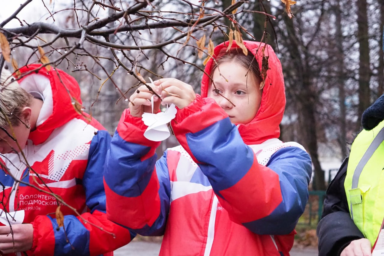 Бумажные ангелы на деревьях: волонтеры Рузы провели акцию в память о жертвах ДТП