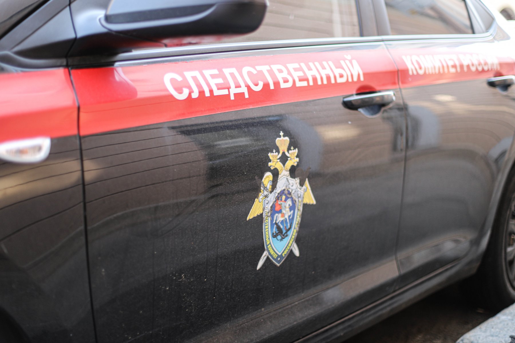 СК возбудил дело после нападения бойцовской собаки на девочку в Одинцово 
