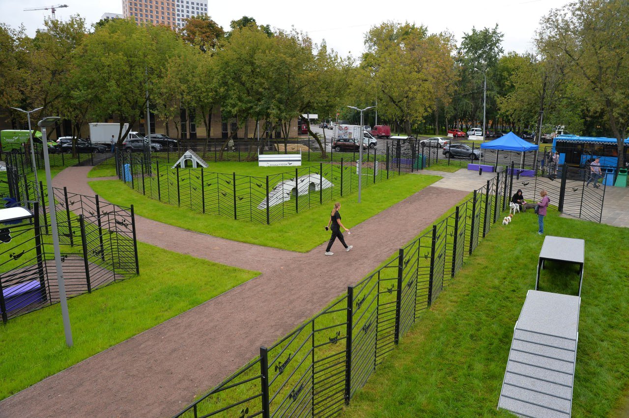 Площадка проекта «Питомцы в Москве», расположенная в СВАО, удостоена премии по ландшафтной архитектуре