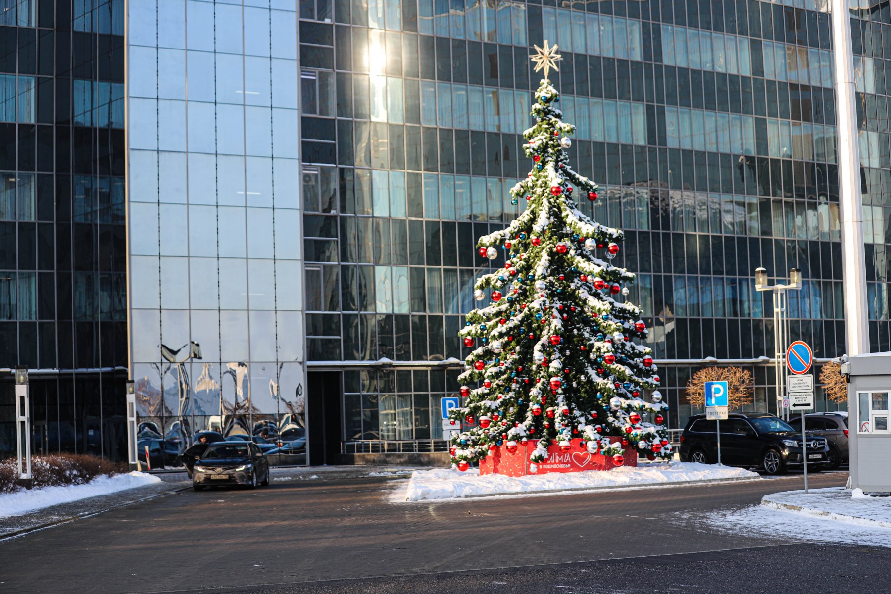 Жители России рассказали о планах на новогодние каникулы