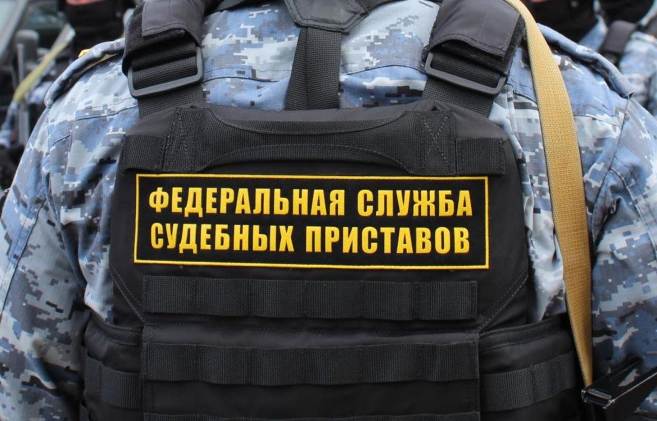 Житель Дубны выплатил уголовный штраф, когда не смог пройти пограничный контроль во Внуково 