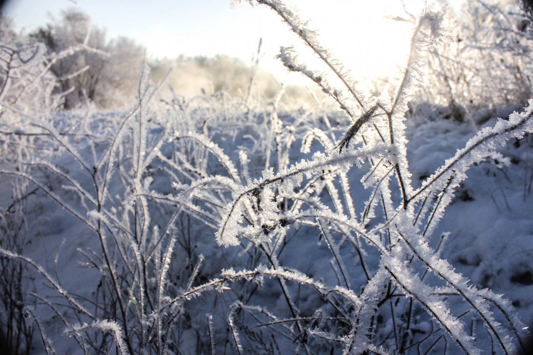 Синоптик Леус: рождественская погода в Москве будет солнечной и морозной
