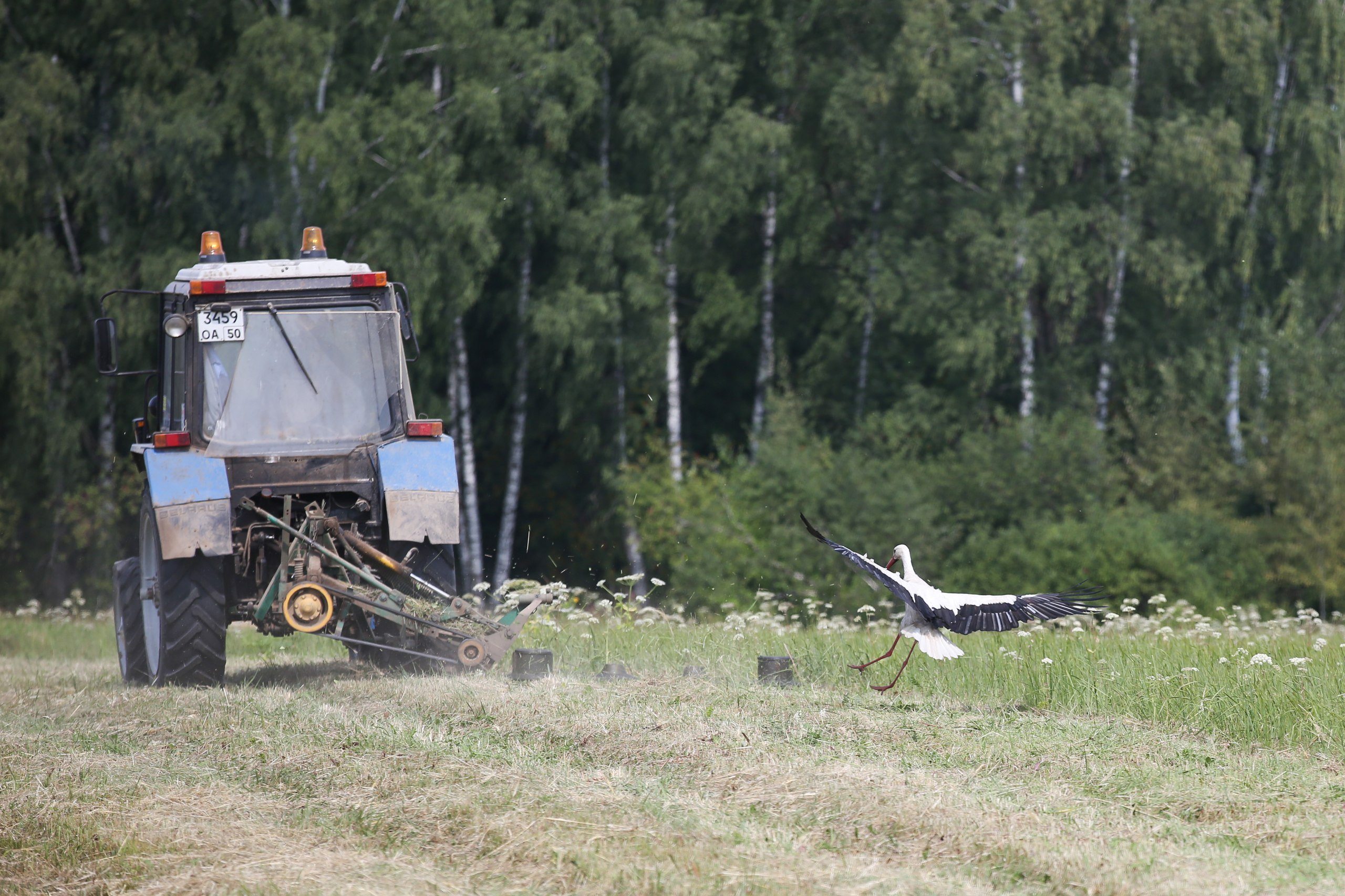 В Московской области началась подготовка к весенним полевым работам 