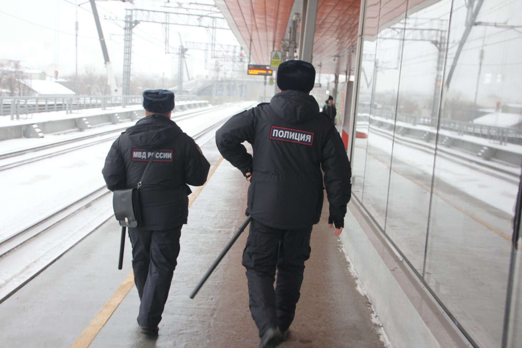 Полиция задержала подозреваемого в убийстве попутчика в электричке Москва - Сергиев Посад
