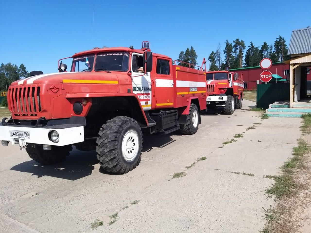 На закупку техники для лесопожарных формирований Подмосковья выделено около 270 млн рублей