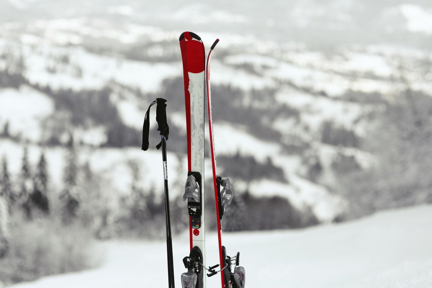 Российские лыжницы получили травмы из-за снежного завала на турнире в Сочи