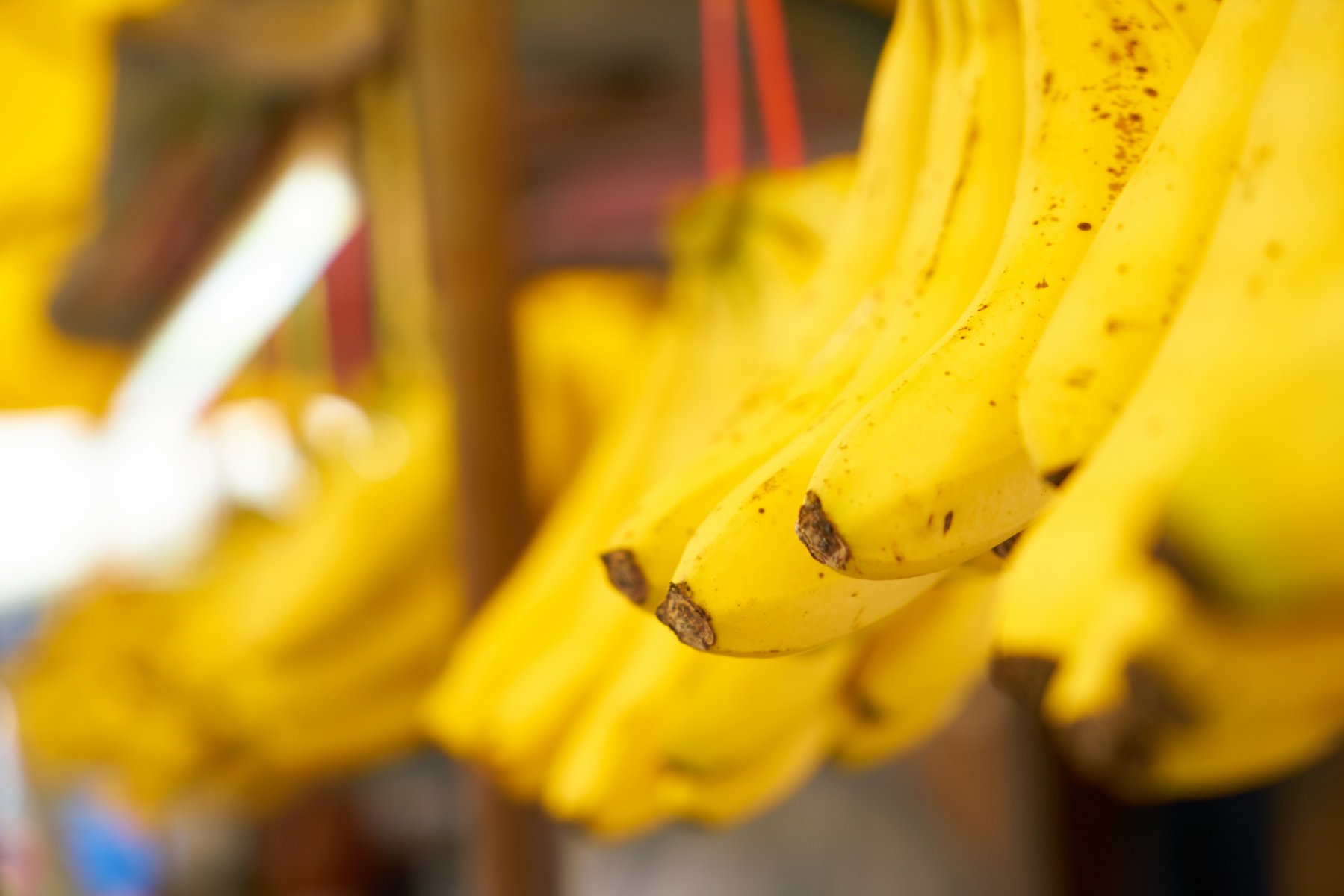 Эксперт: российским ритейлерам придется искать новых поставщиков бананов