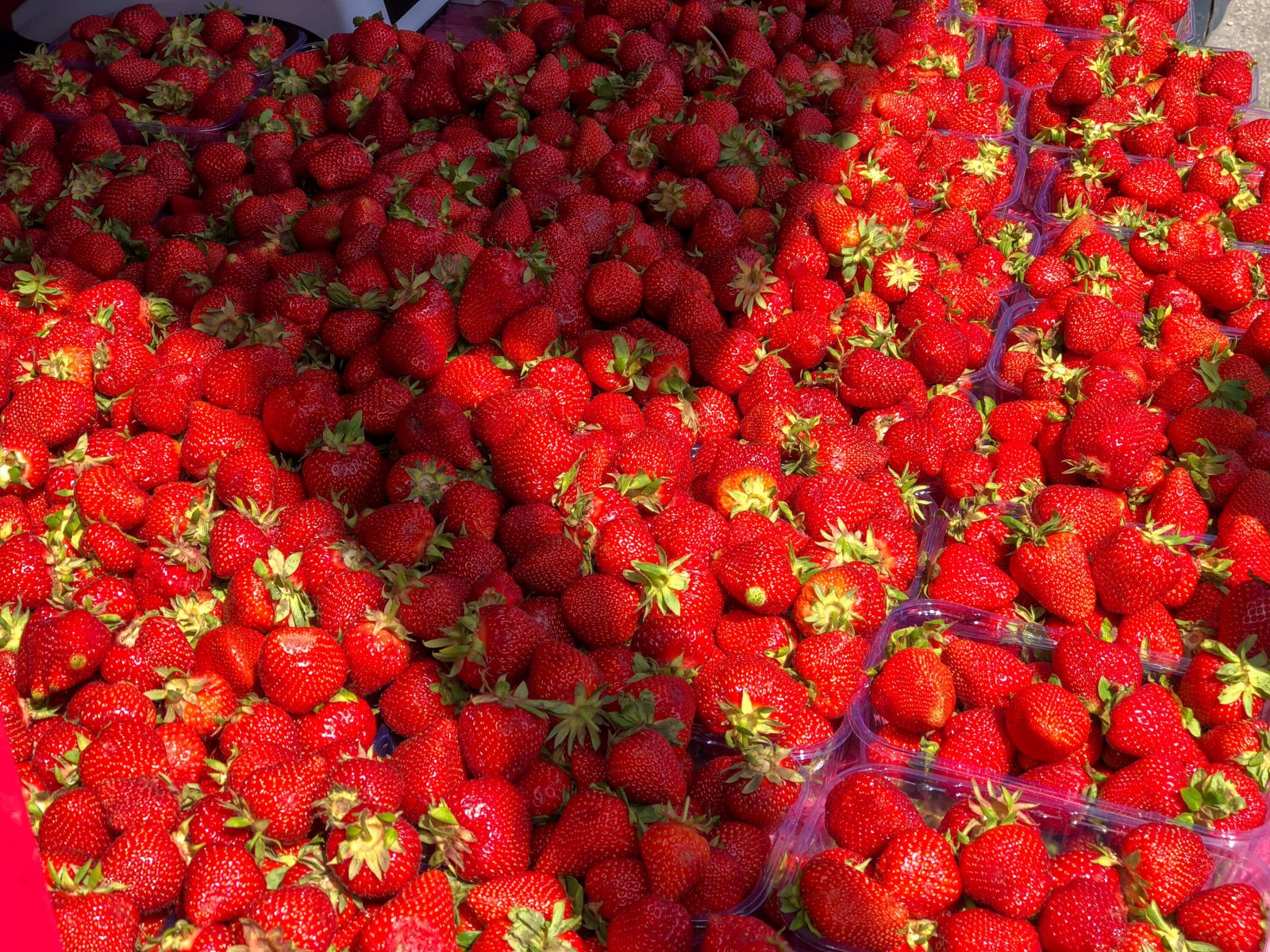 Крым поставит Москве фрукты и ягоды в этом сезоне