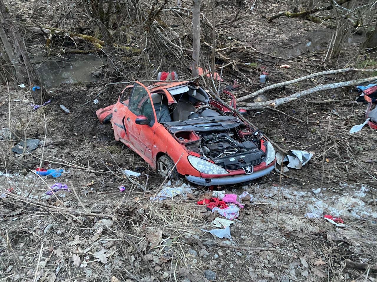 Две девочки погибли после съезда машины в кювет в Серпухове
