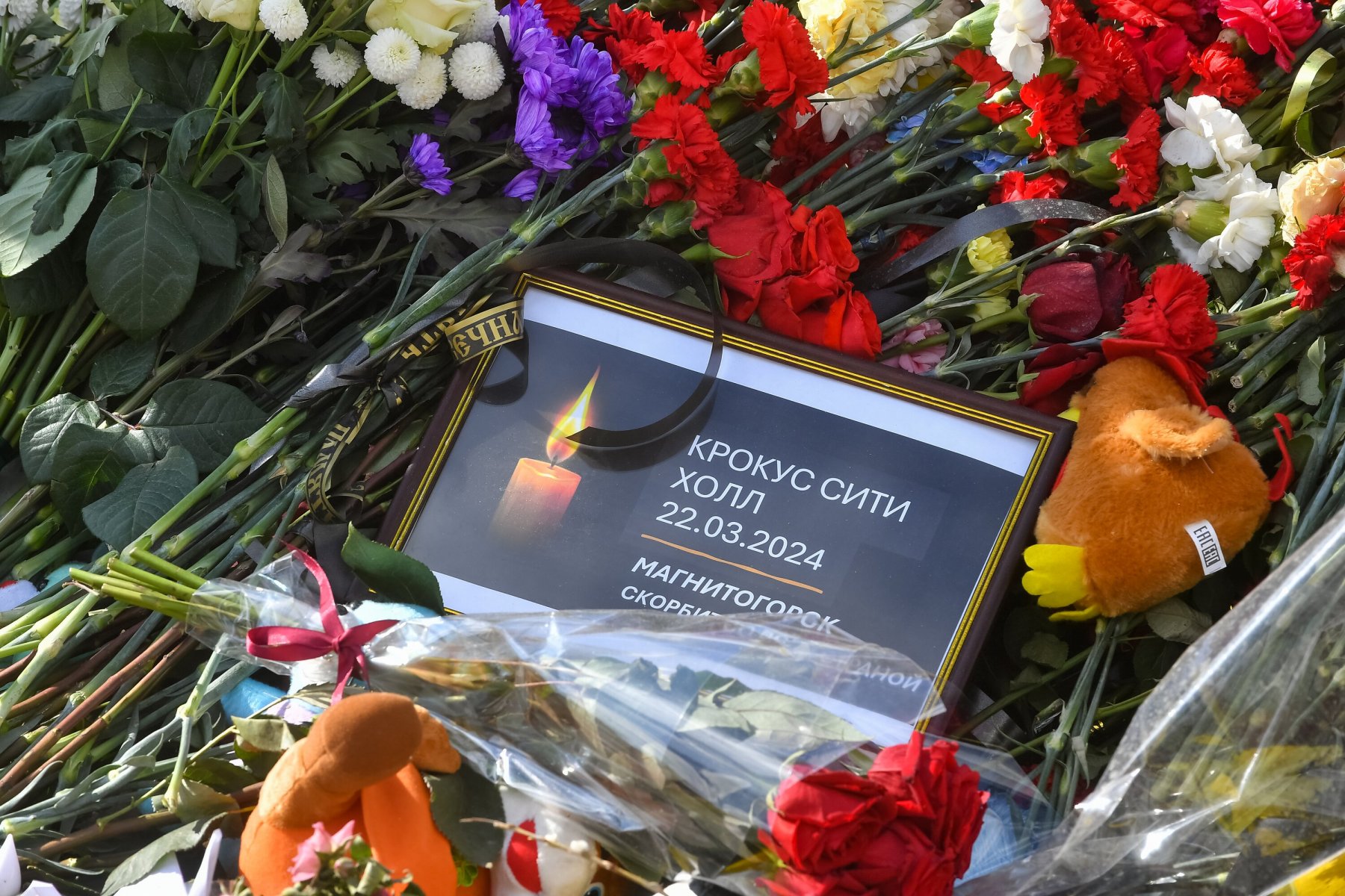 Соцфонд РФ назначил 69 пенсий по потере кормильца родственникам погибших в Крокусе
