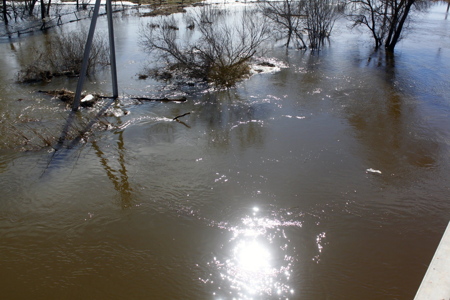 Сумма ущерба от паводка в Оренбуржье превышает 40 млрд рублей