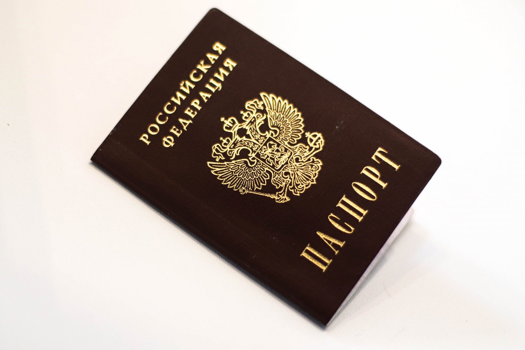 МВД: за полгода почти 400 бывших иностранцев лишены гражданства РФ за преступления