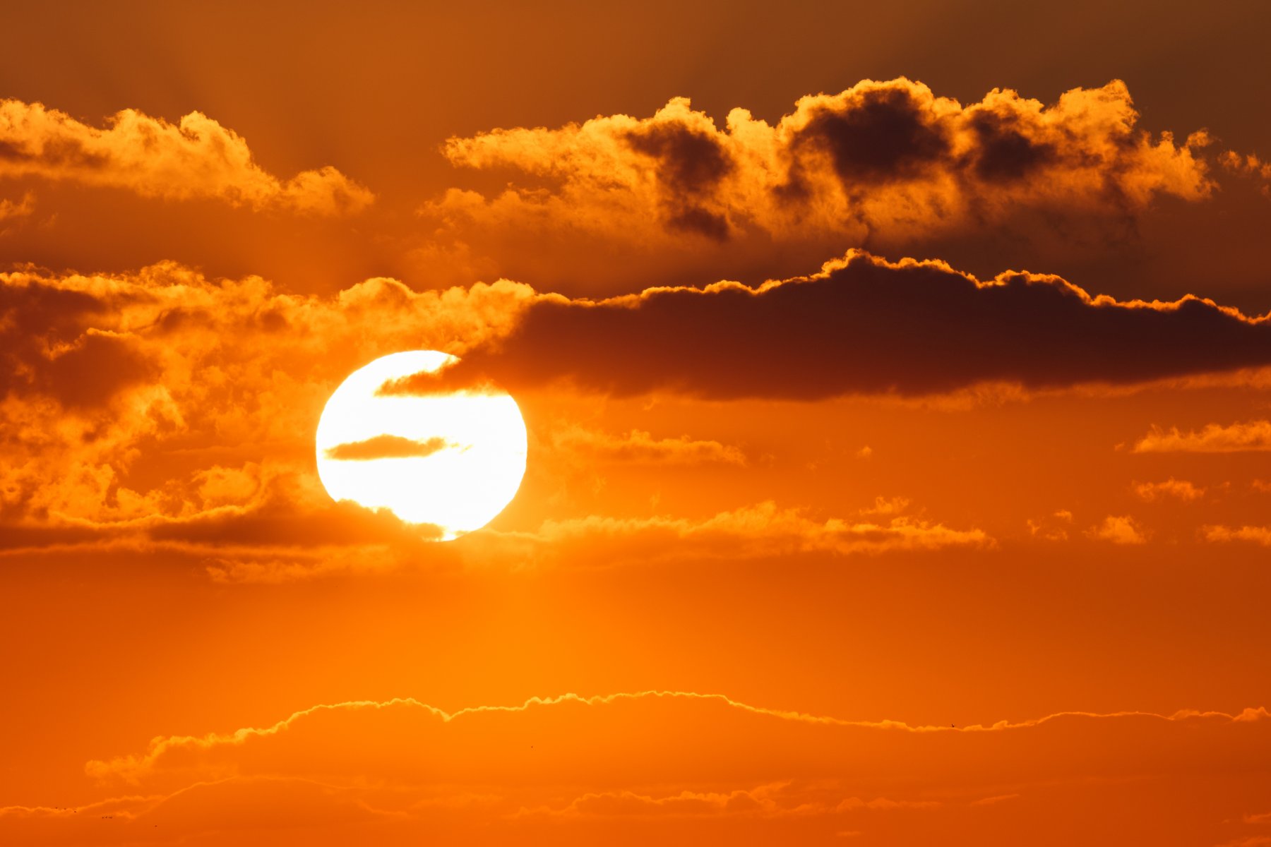 Ученые зафиксировали мощную вспышку на Солнце