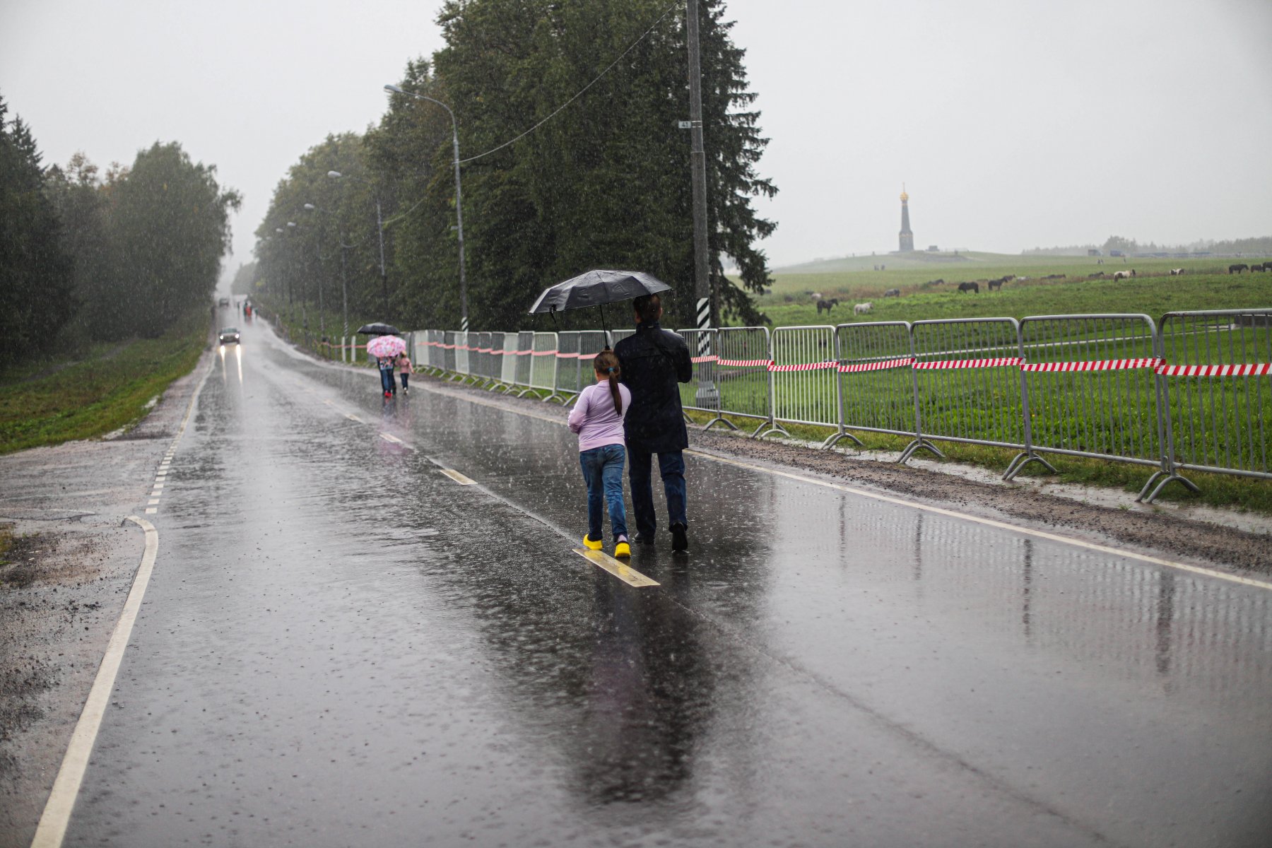 В Подмосковье ожидается +9 градусов и дождь :: Вести Подмосковья