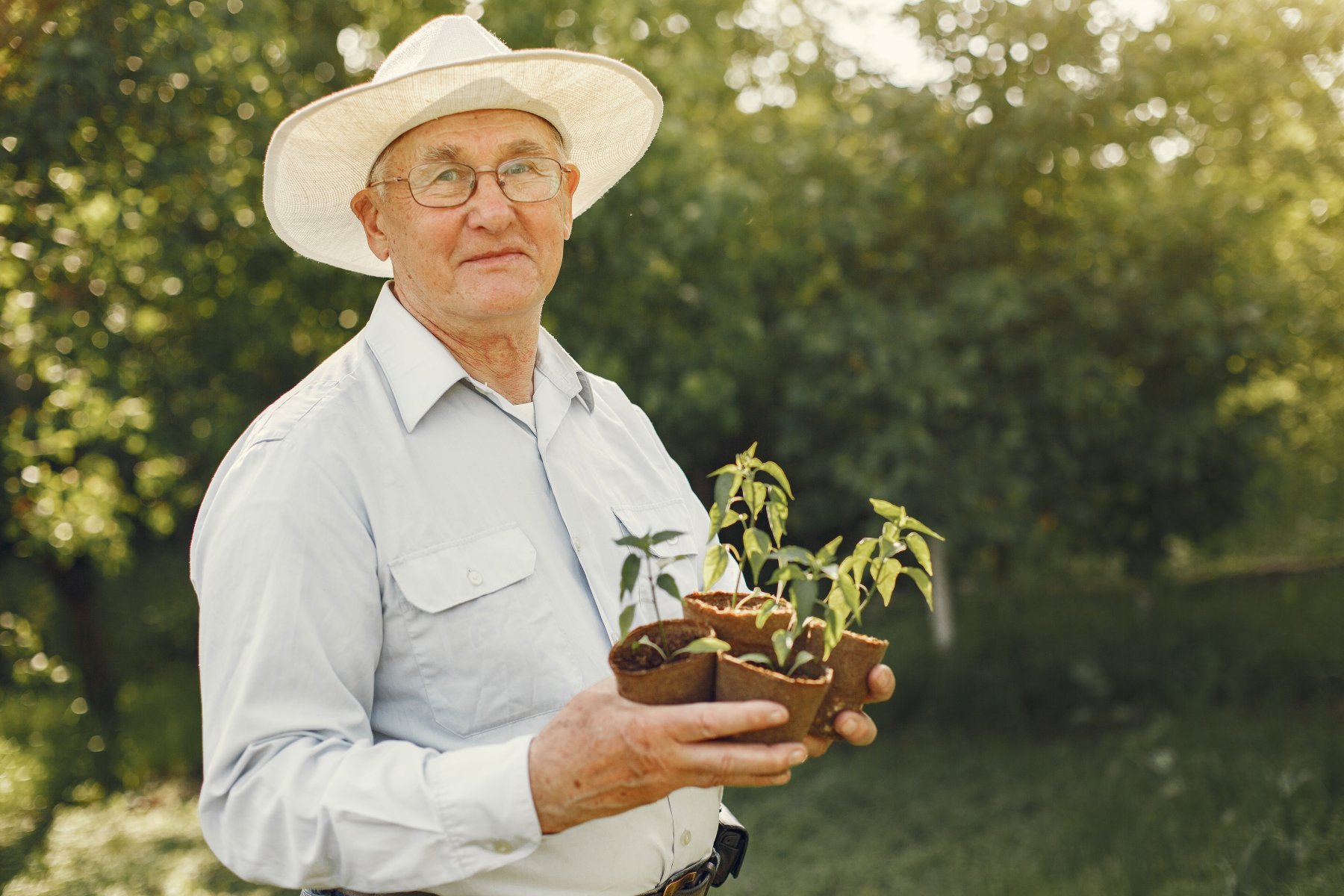 Как пожилым людям организовать садово-огородные работы без вреда для здоровья?
