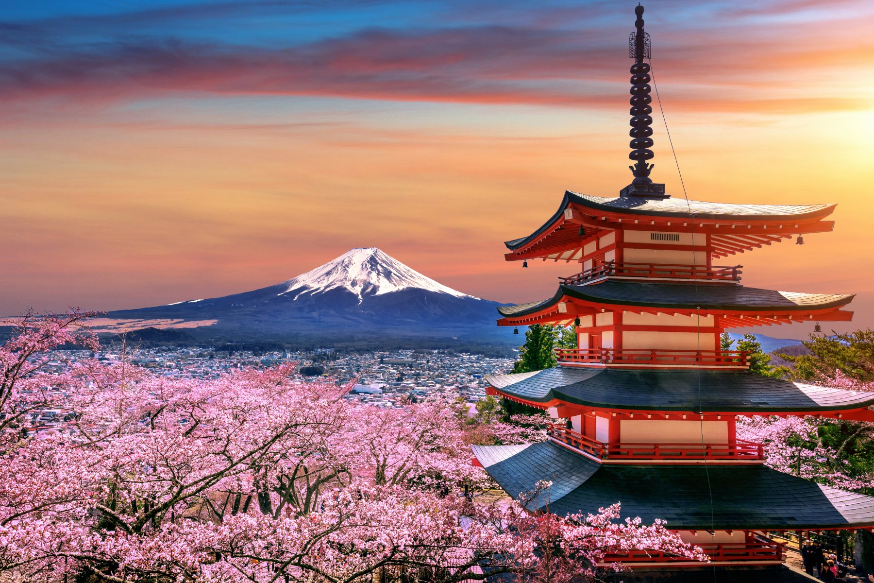 Японские власти закрыли от туристов самый популярный вид на гору Фудзи