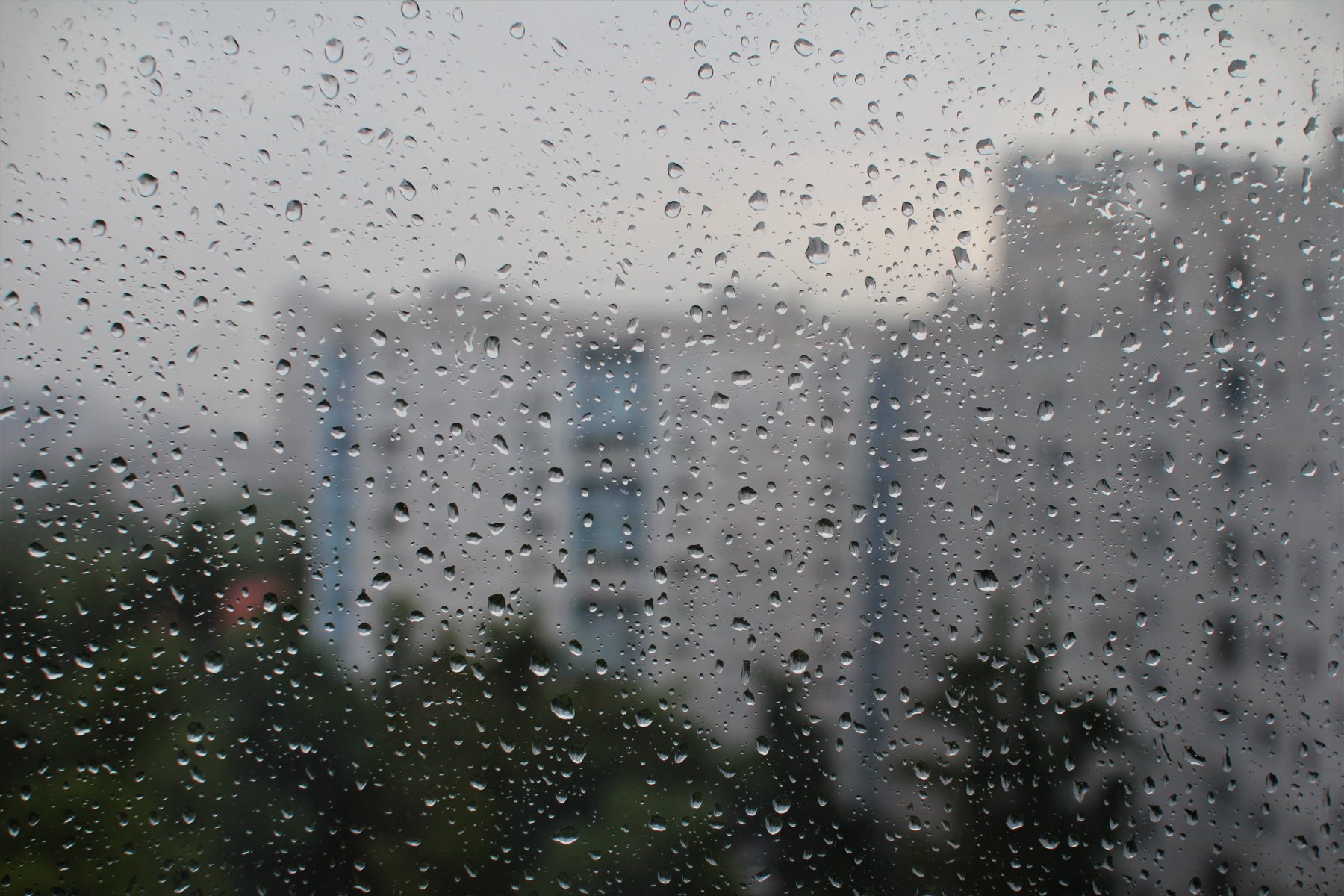Синоптик Леус: грозовые дожди собьют жару в Москве
