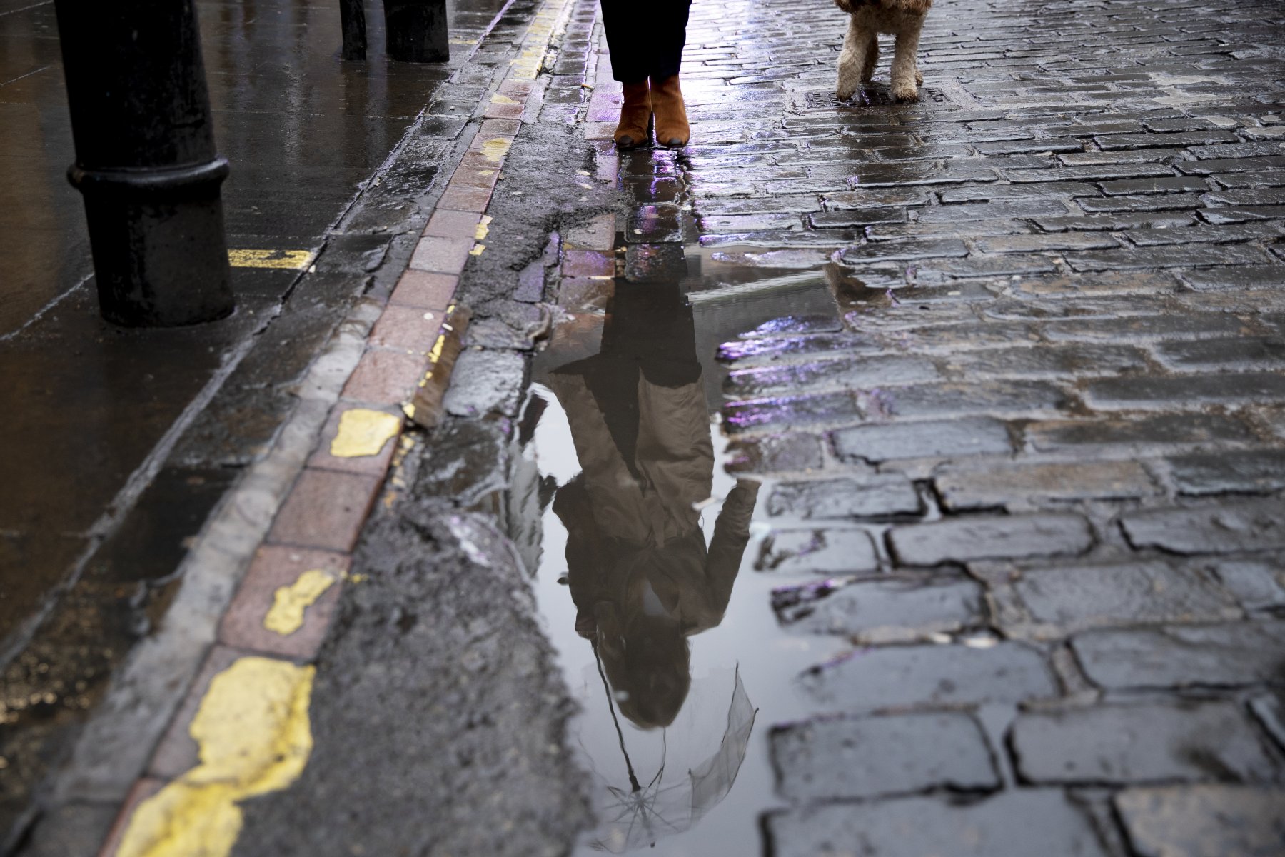 Климатолог озвучил фактор, влияющий на частоту дождей в мегаполисах