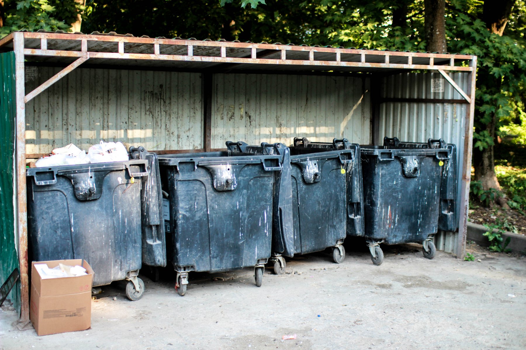 За июнь в Истре зафиксировано около 50 случаев незаконного сброса мусора