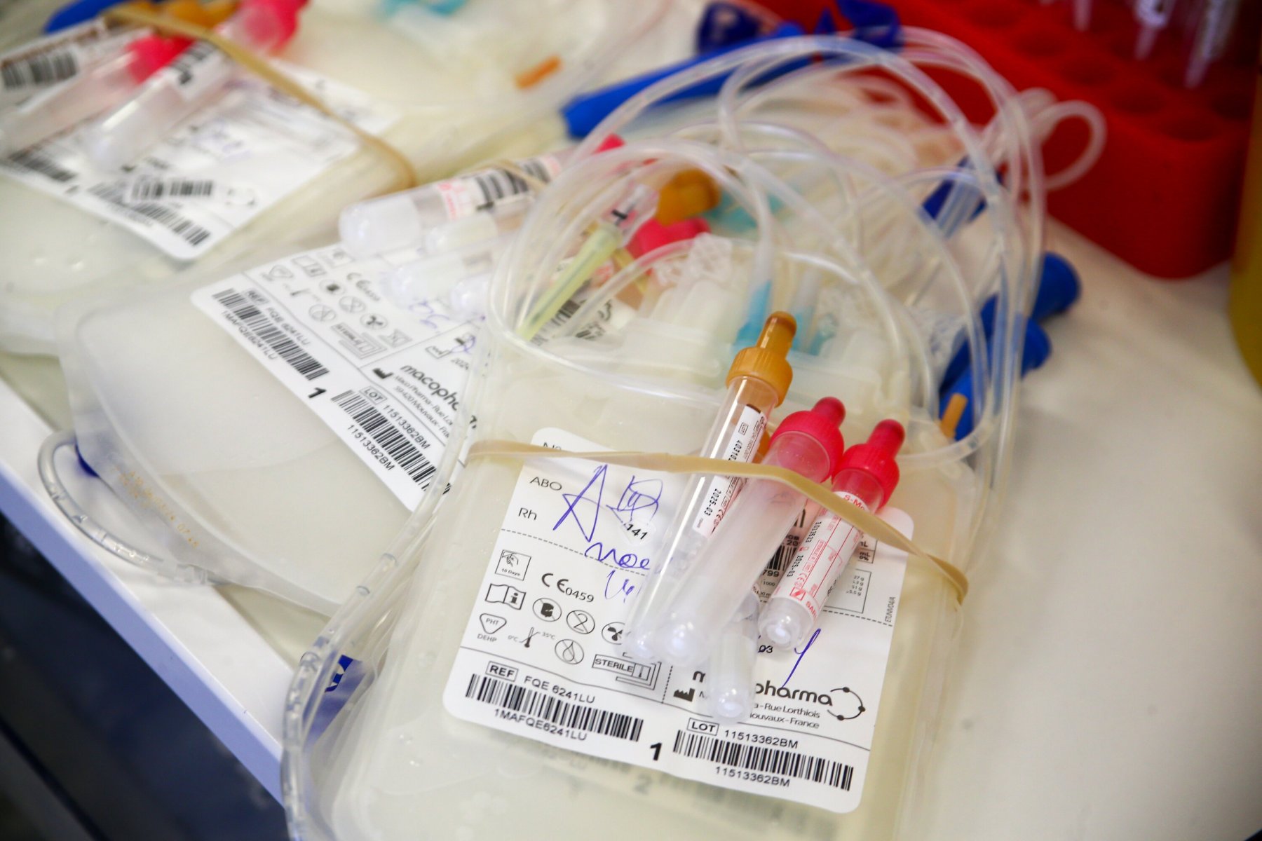 В столичной клинике выявлен донор с редчайшим резус-фактором крови