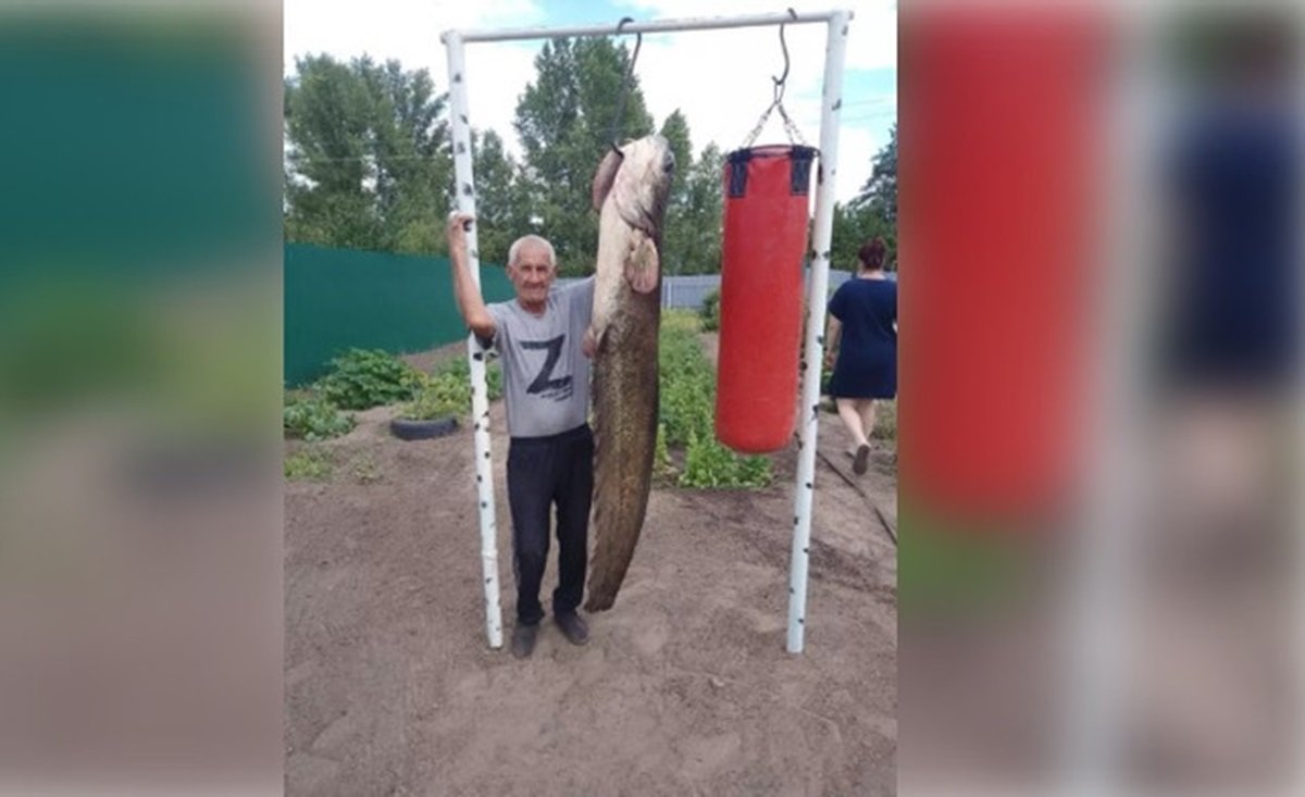 Мужчина в Ростовской области выловил сома выше человеческого роста
