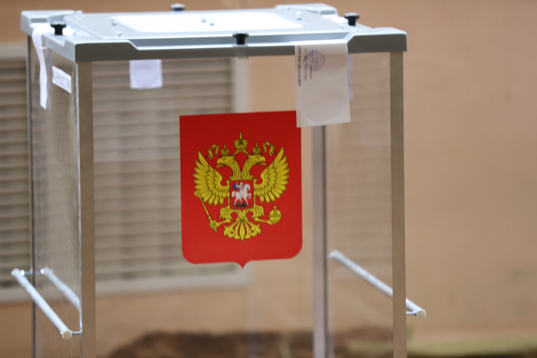 В Москве утвердили новый порядок голосования