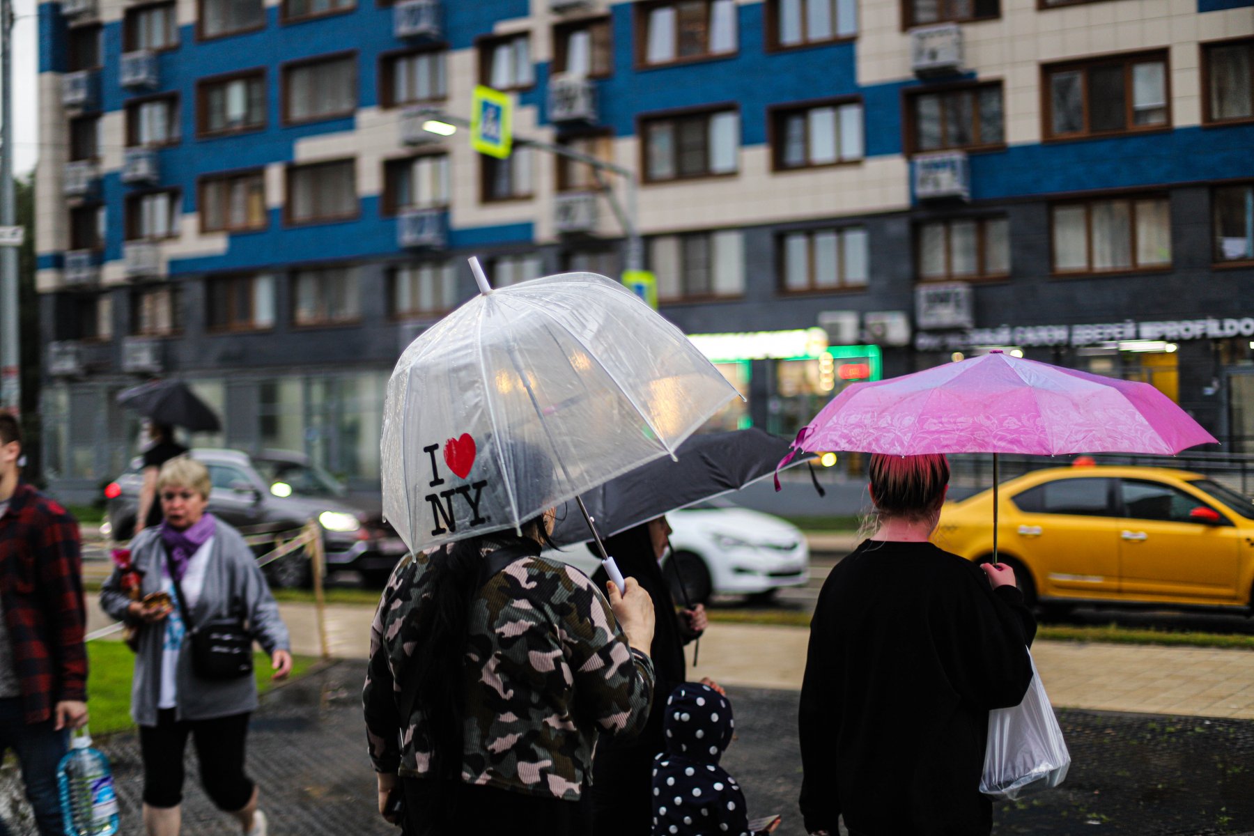 В воскресенье на Москву может выпасть около 25 мм осадков 