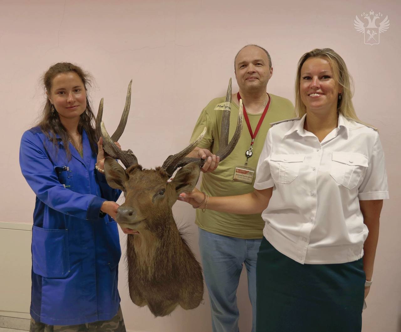Таможенники передали в Дарвиновский музей чучело пятнистого оленя  