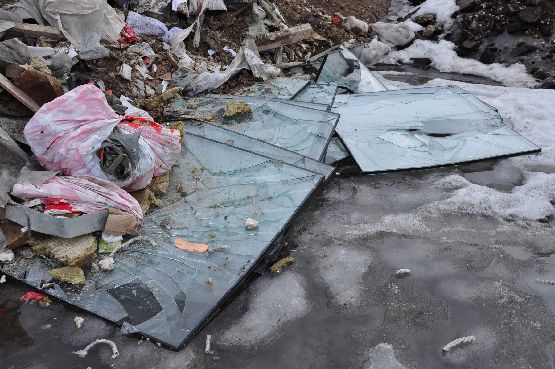 Из лесов горокруга Пушкинский вывезли 600 кубометров мусора с несанкционированных свалок