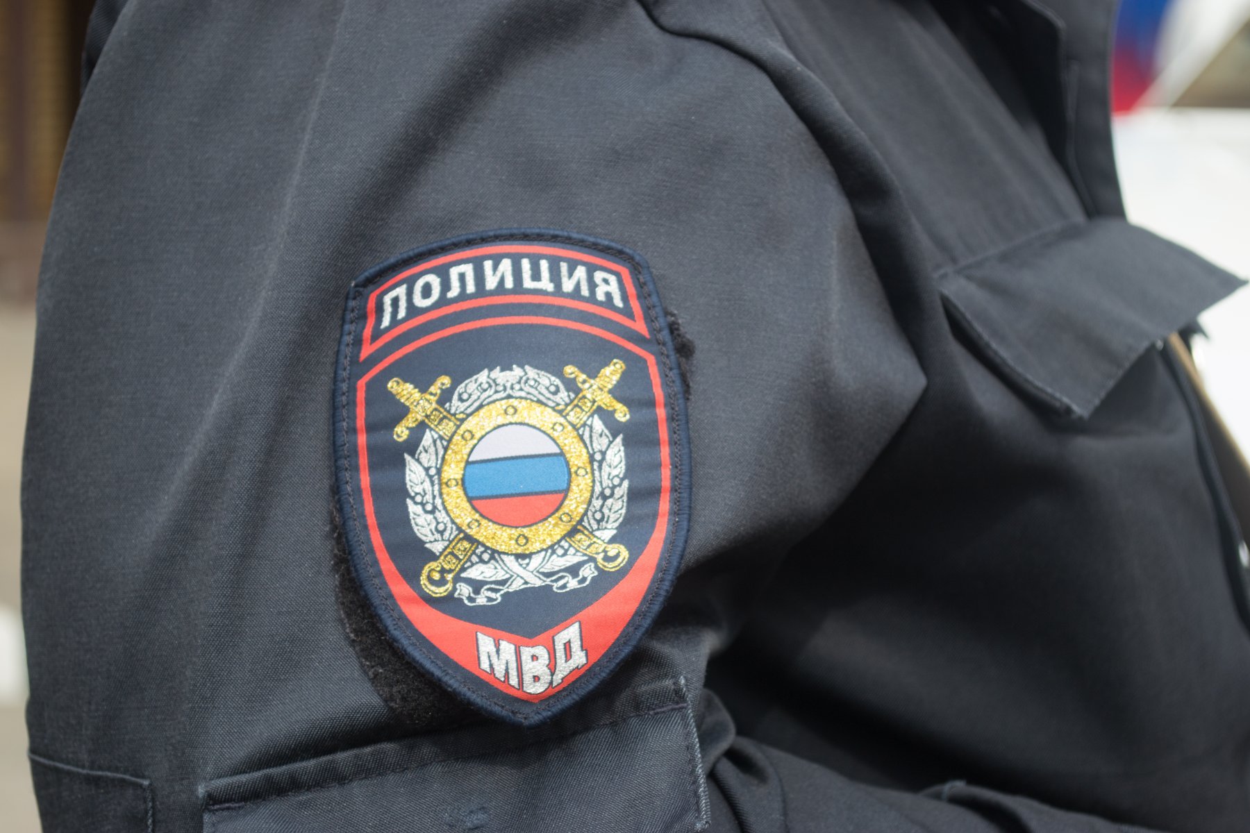 В Красногорске полиция ищет двух нарушителей порядка
