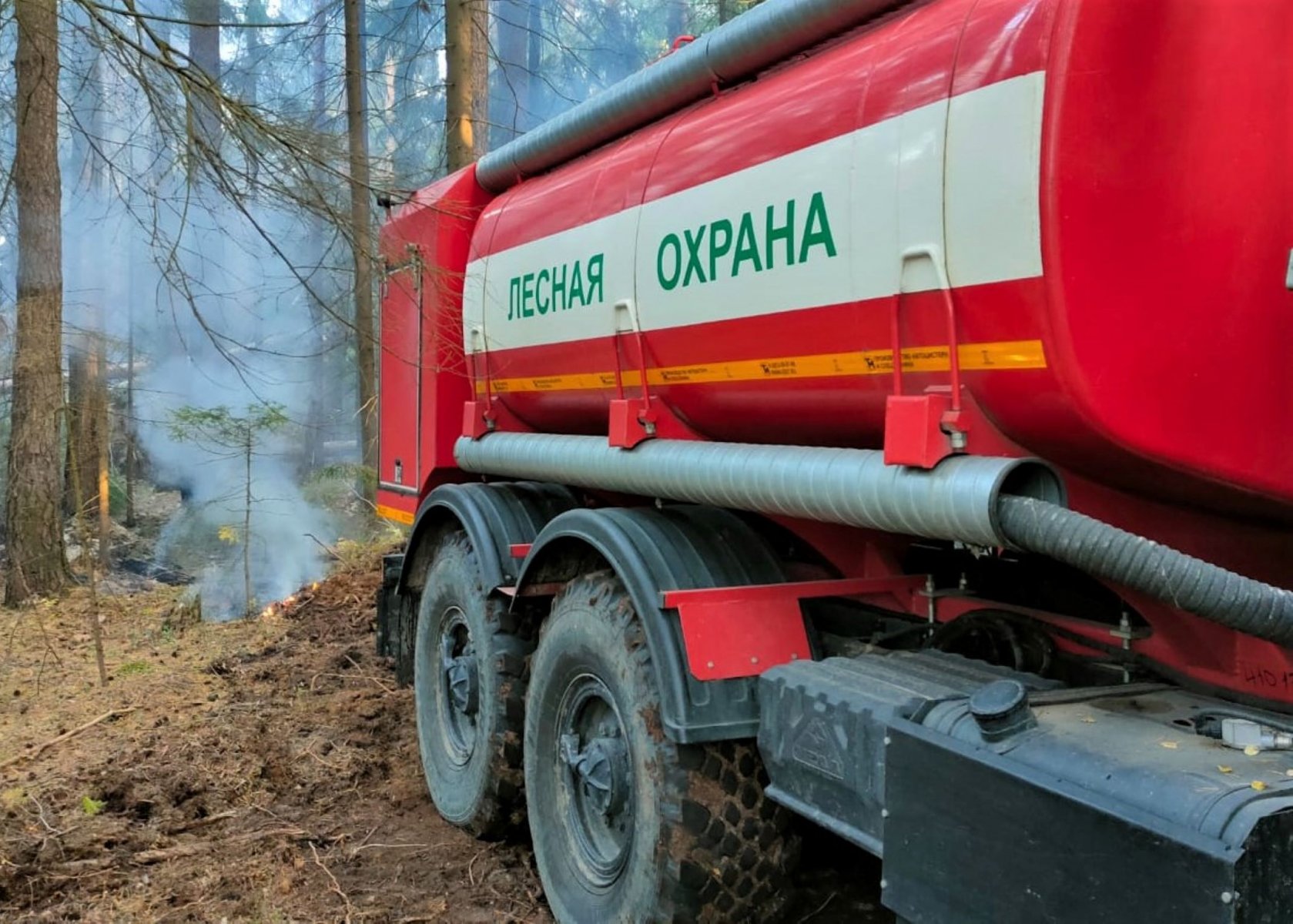 В Подмосковье до 9 сентября ограничили посещение лесов