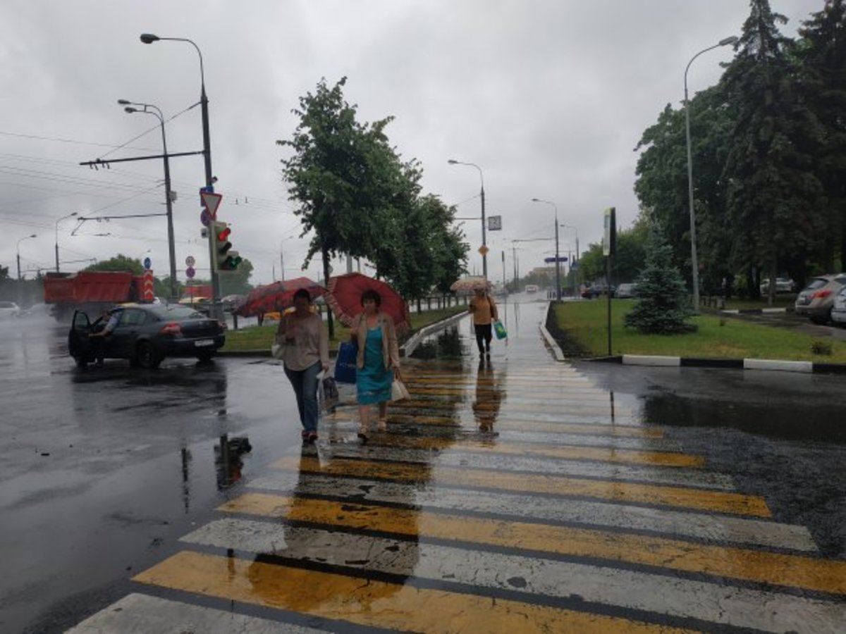 В ближайшую неделю в Московском регионе пройдут сильные дожди 