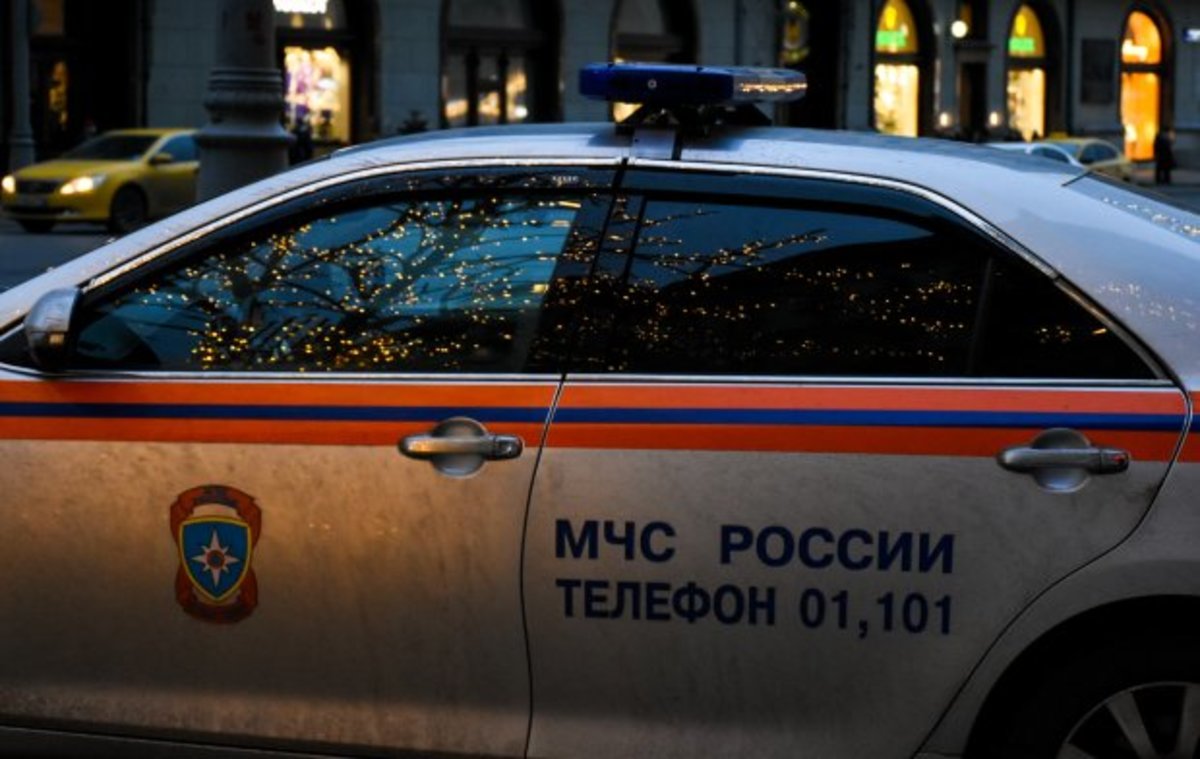 Московским спасателям пришлось спасать собаку, застрявшую в дверной коробке