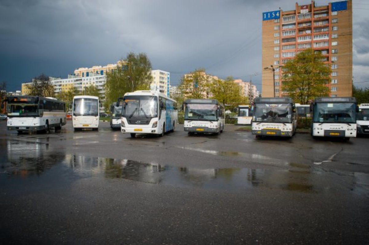 В Подмосковье отменили сотни автобусных рейсов