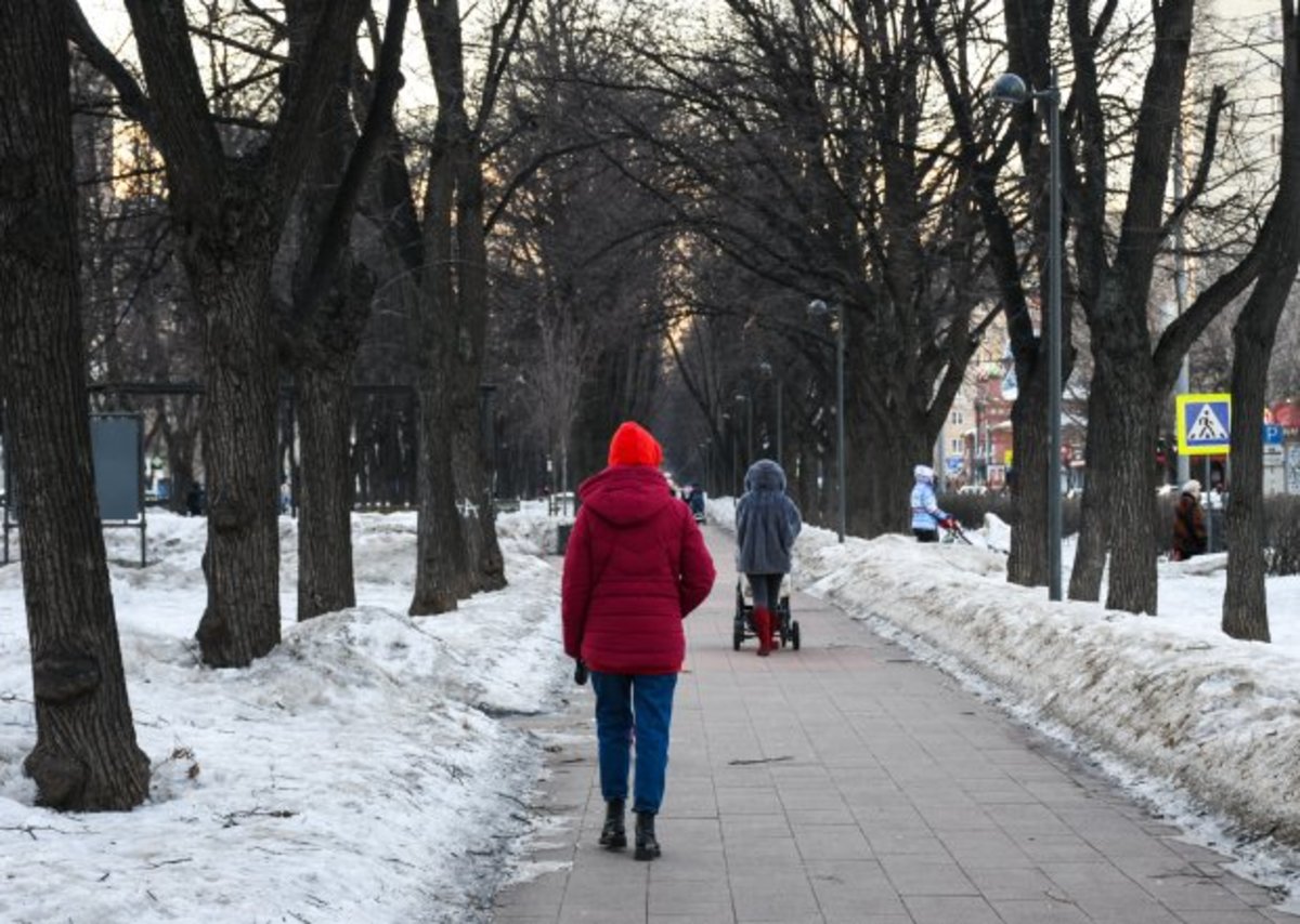 Высота снежного покрова в Москве вырастет до 10 сантиметров