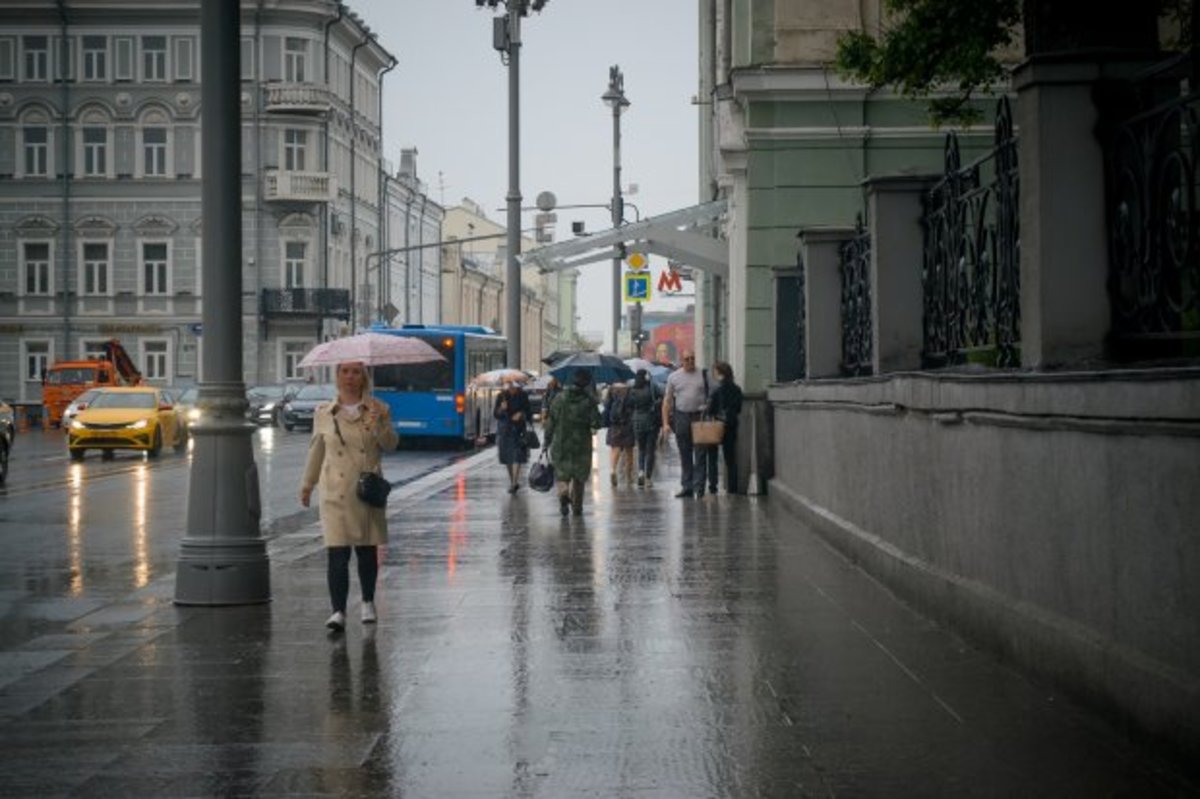 Климатологи предположили, каким будет следующее лето в Москве